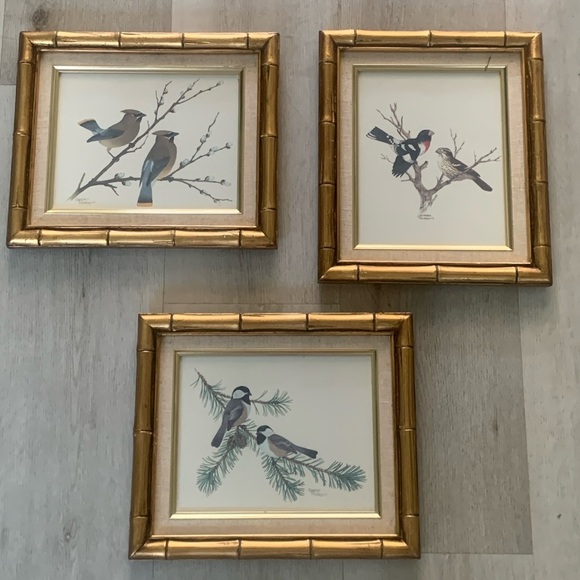 Sherm Pehrson Bird Prints Set of 3 wall art decor‎ bamboo wooden frames gold - Picture 14 of 16